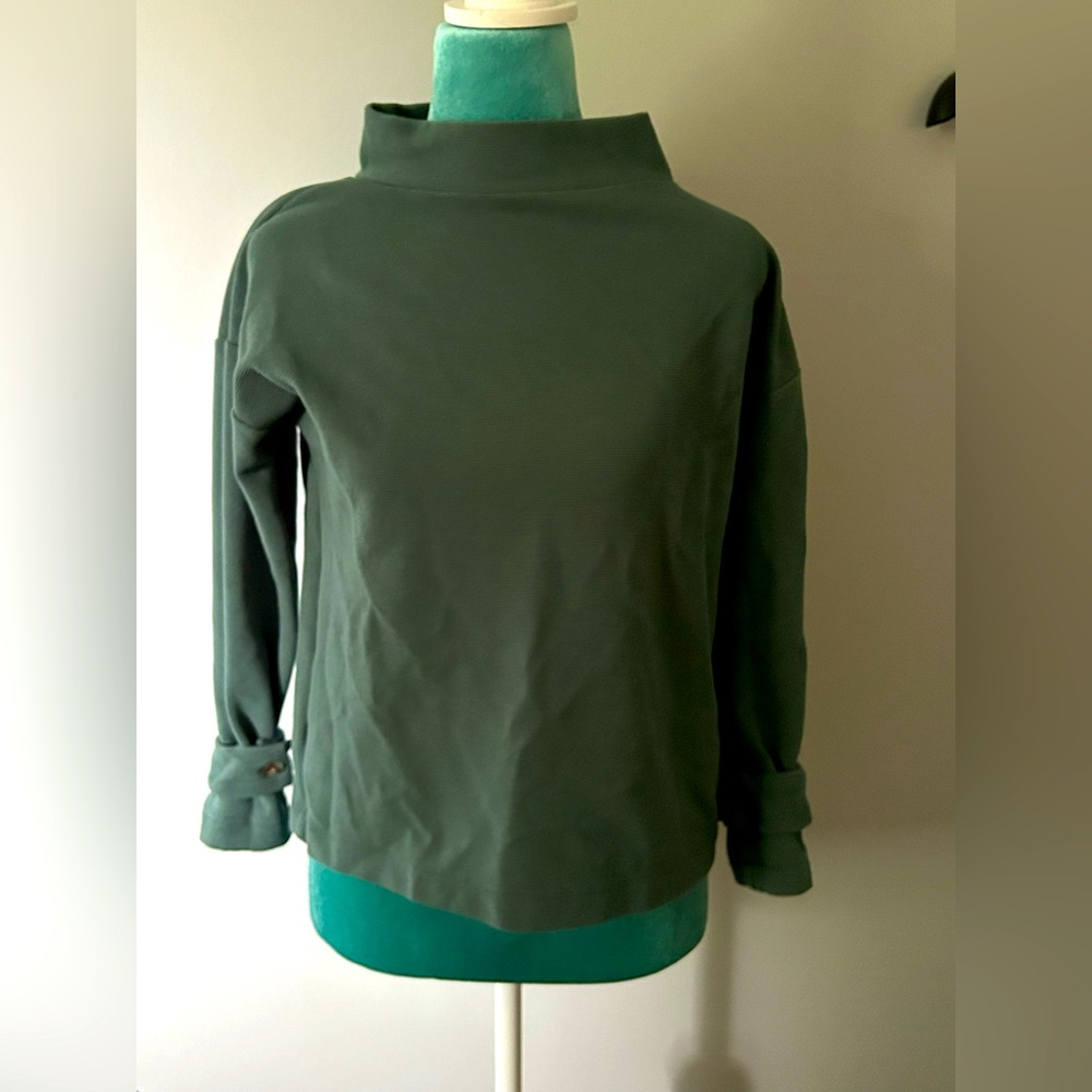 Ann Taylor Petite Ribbed Knit in Green